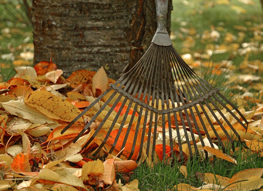 leaf raking machine