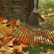 avoid back pain when raking leaves