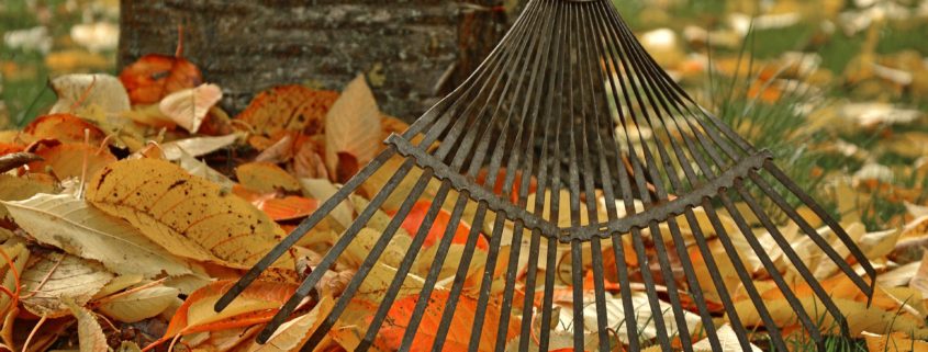 avoid back pain when raking leaves