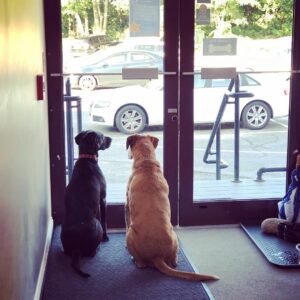 Bodie and Hudson watching the door