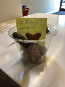 cup filled with dog treats for Bodie