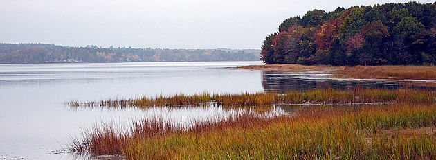 NH Wetlands